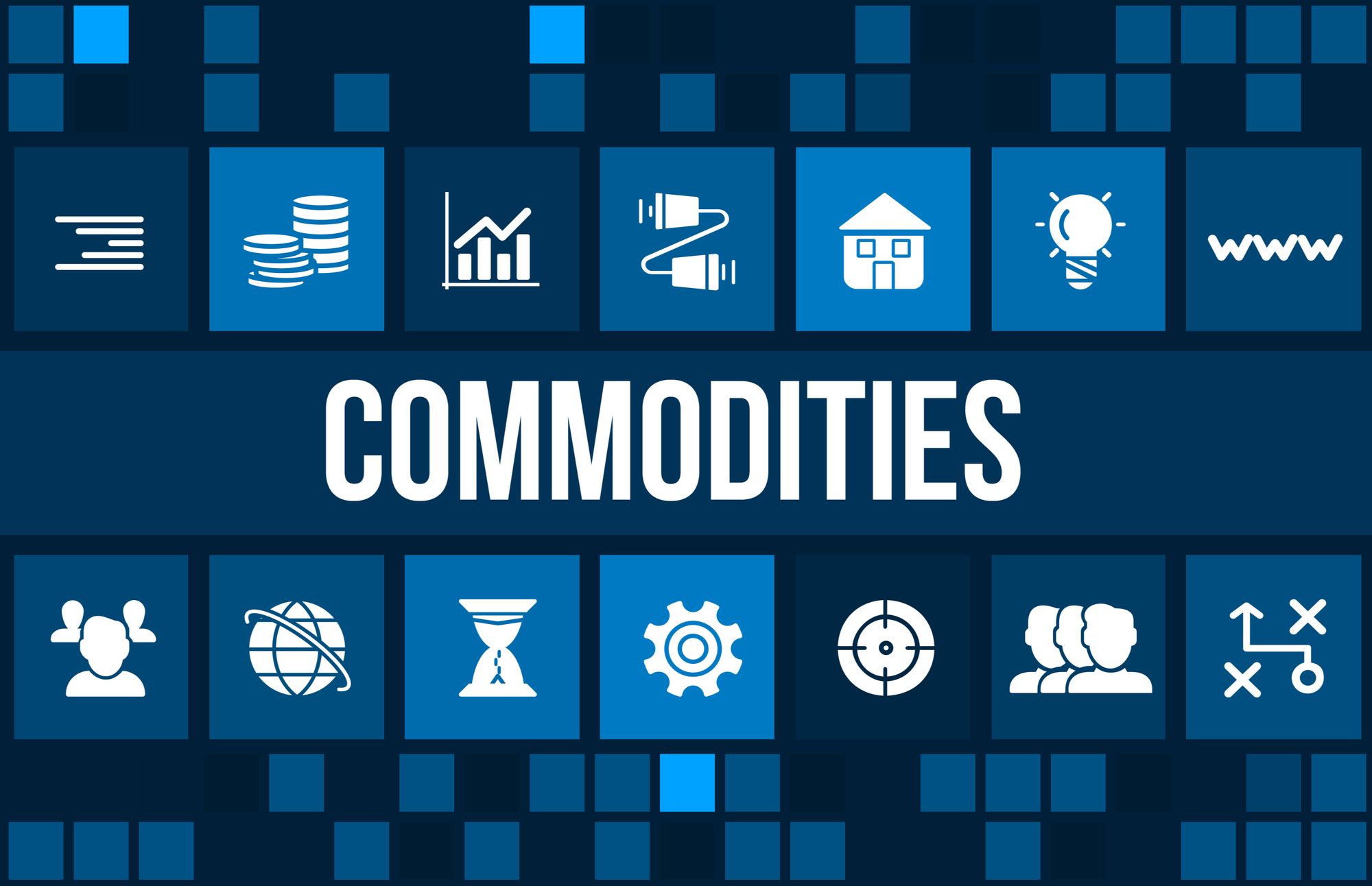 Equity to Commodity: What is Commodity Account and Difference between Equity and Commodity?
