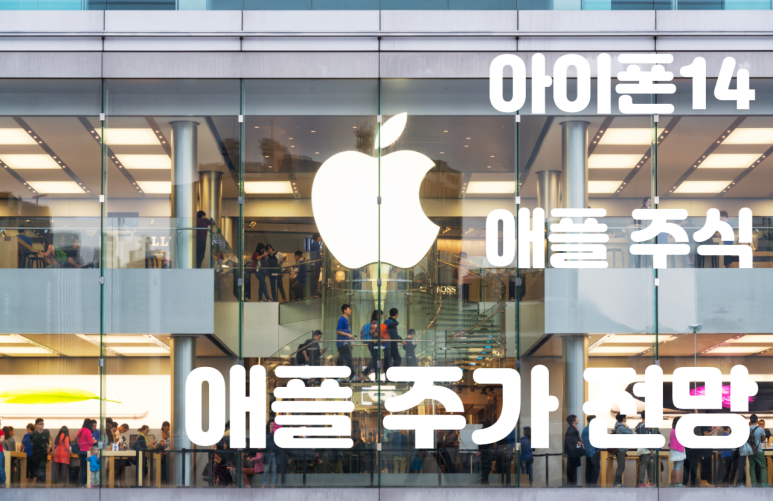 Apple AAPL 주가: 애플 주가 전망: 애플 주식 가격 배당금 배당일