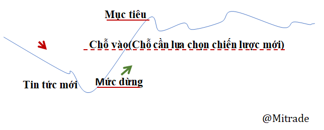 Đảo tin tức Đảo tin tức