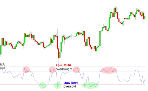 15937409072404 15937409072404