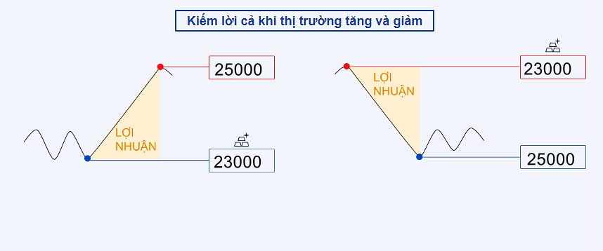 159375019923 159375019923