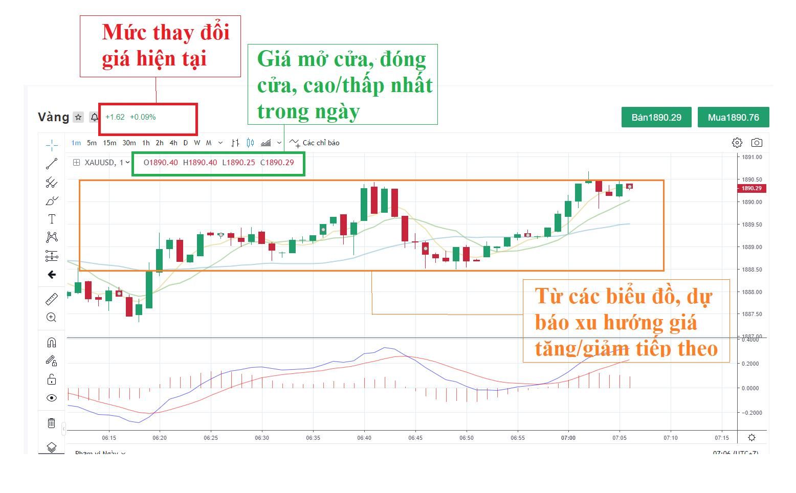 16057569233741 16057569233741