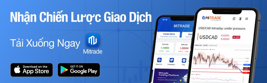 16062869453200 16062869453200