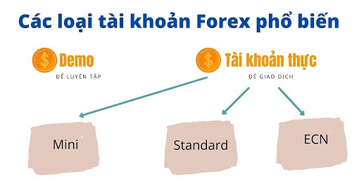 16064671241641 16064671241641