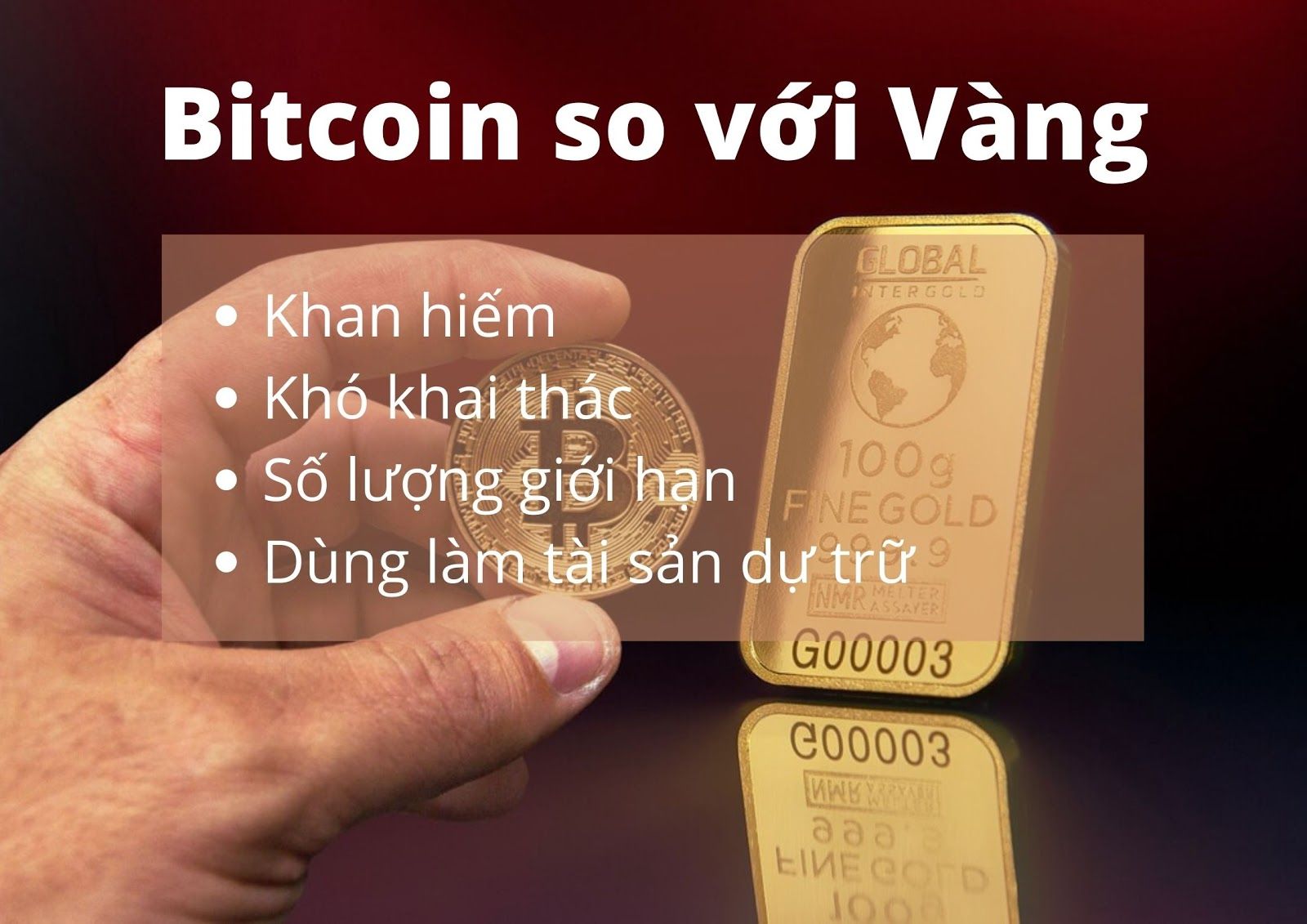 16087949826458 16087949826458