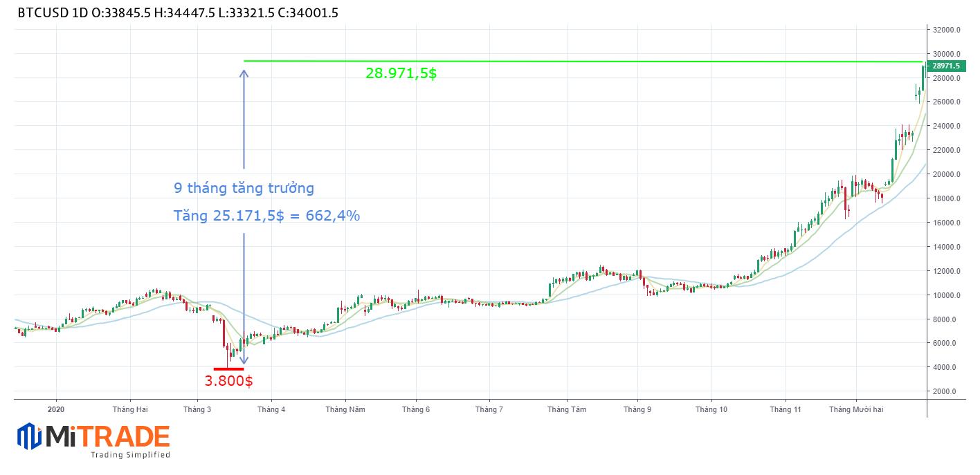 16099160642826 16099160642826