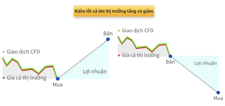16203543531400 16203543531400