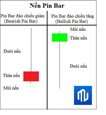 16208090245681 16208090245681