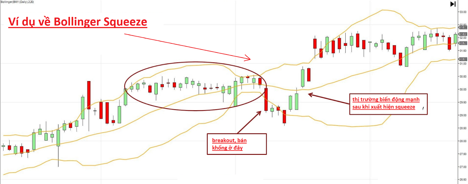 16208090868502 16208090868502