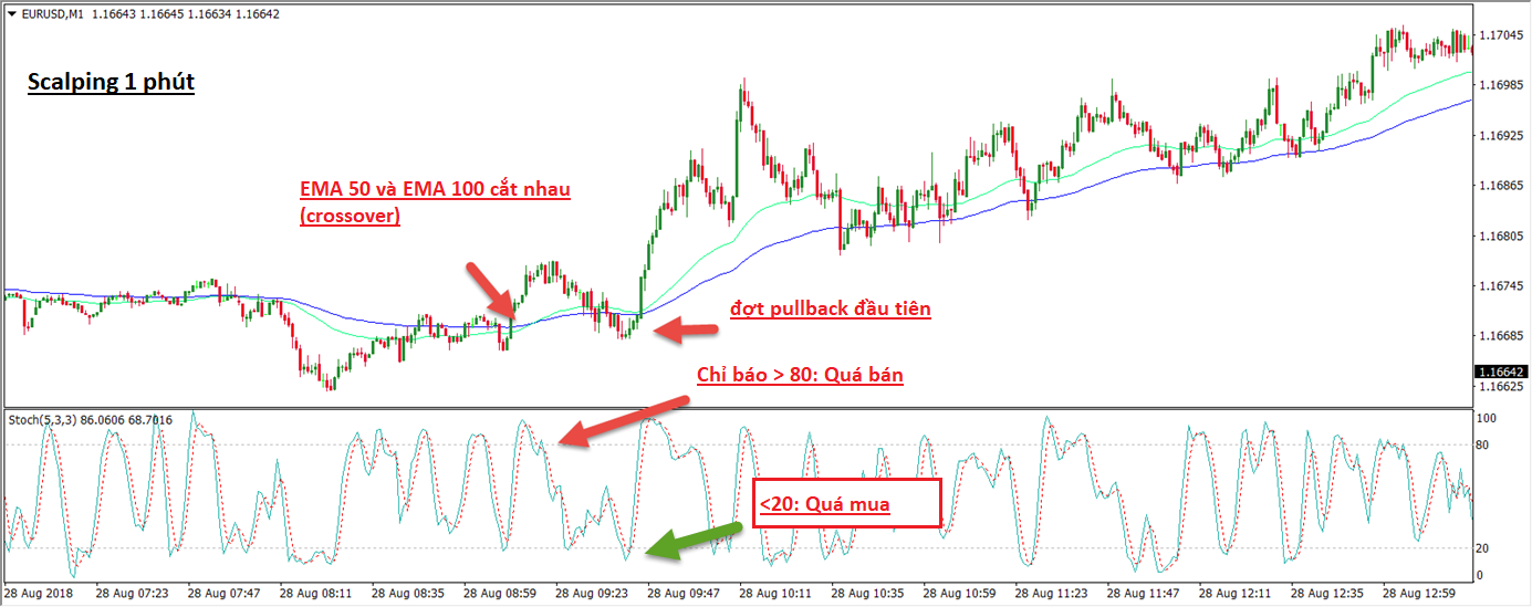 16208091755475 16208091755475