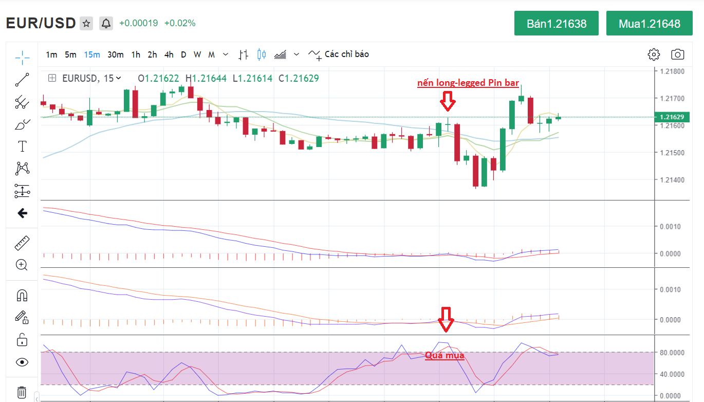 16208094004557 16208094004557