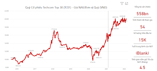 Quỹ cổ phiếu Techcom Top 30 (TCEF)