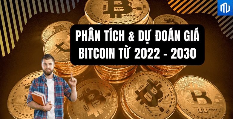 16509587668376 16509587668376