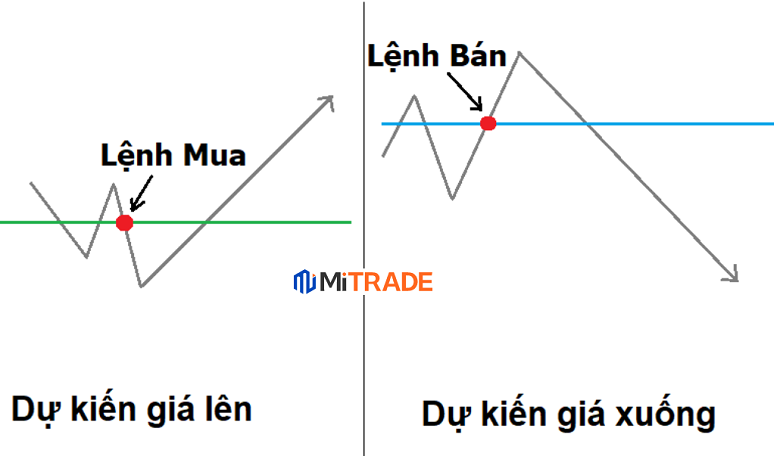 lệnh mua bán lệnh mua bán