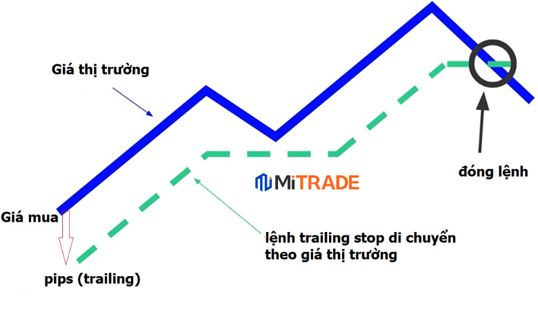 Trailing Stop (Cắt lỗi dưới) Trailing Stop (Cắt lỗi dưới)