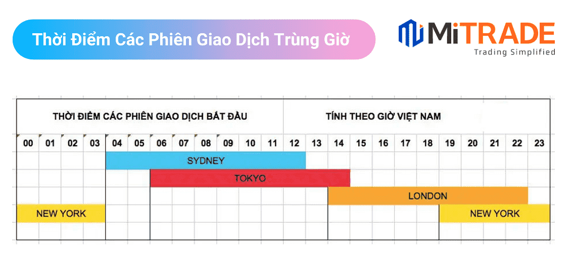 16518945629591 16518945629591