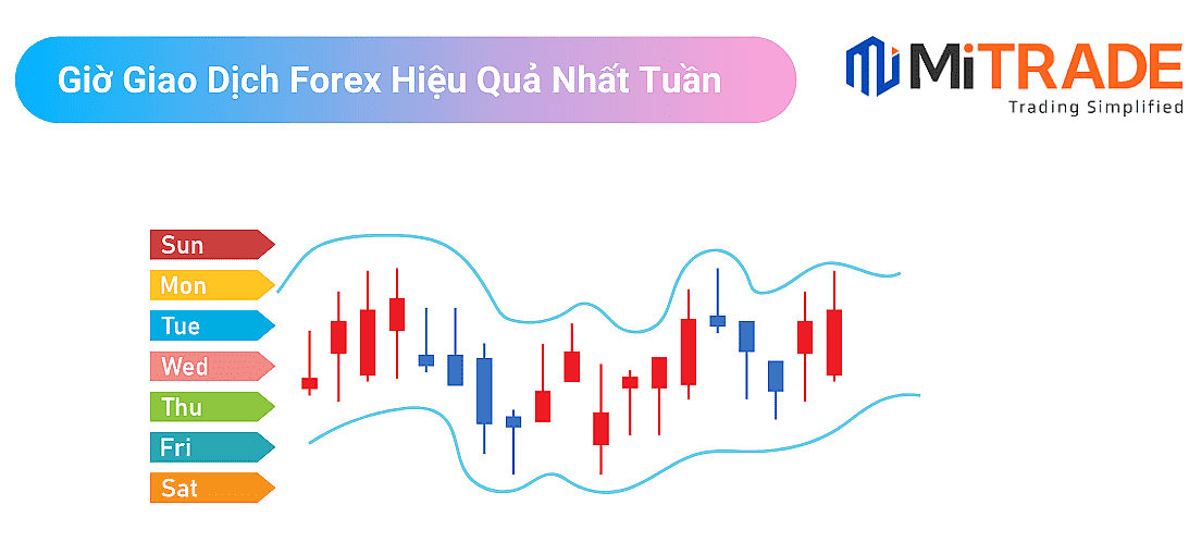 16518946233759 16518946233759