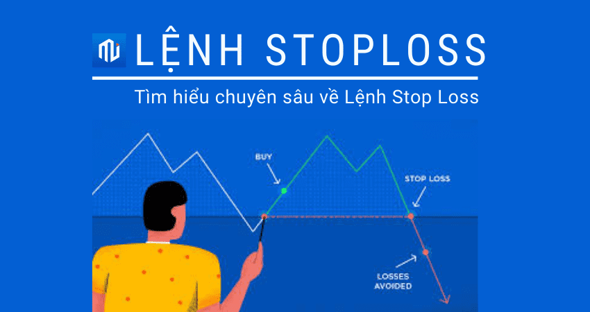 16519156805264 16519156805264