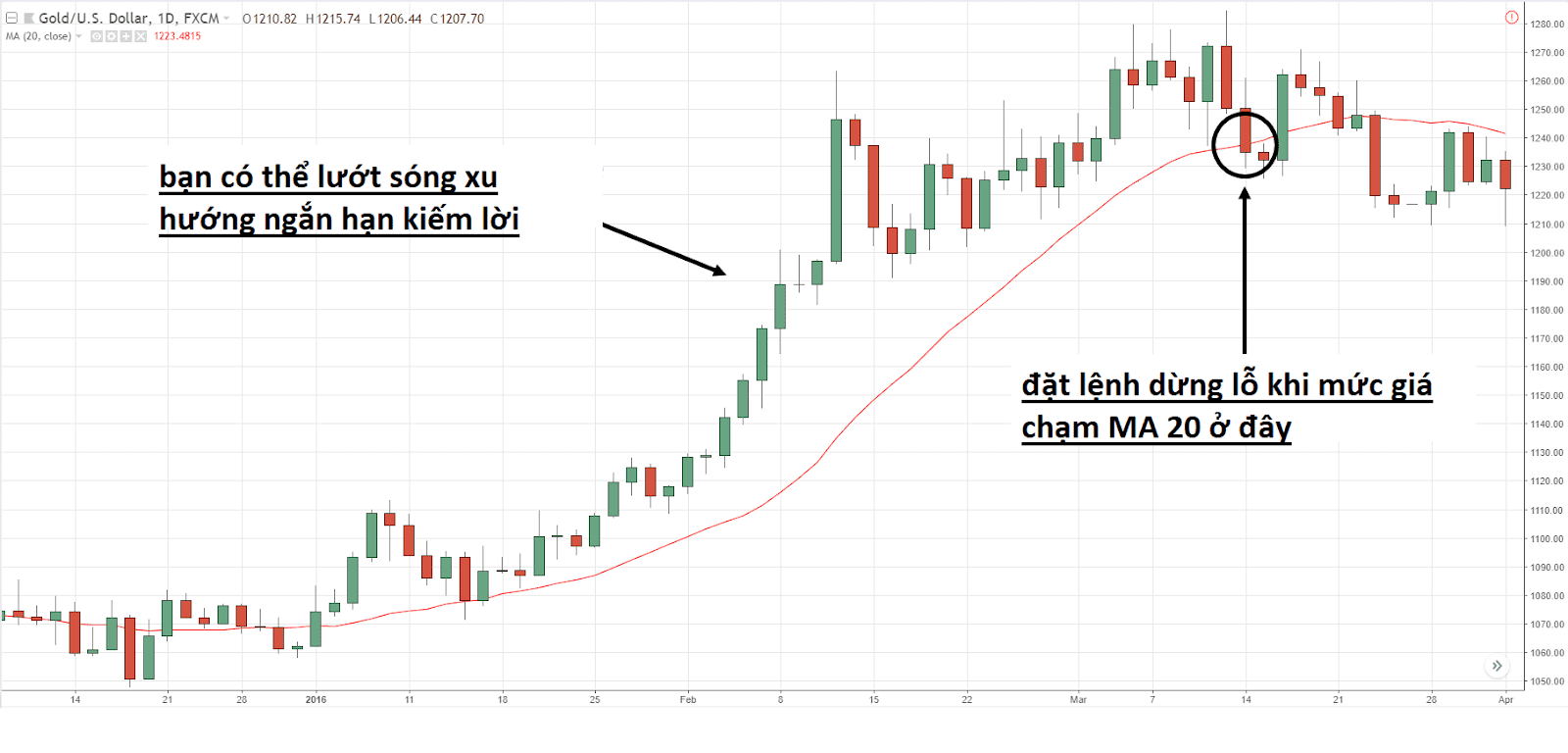 16519162404482 16519162404482