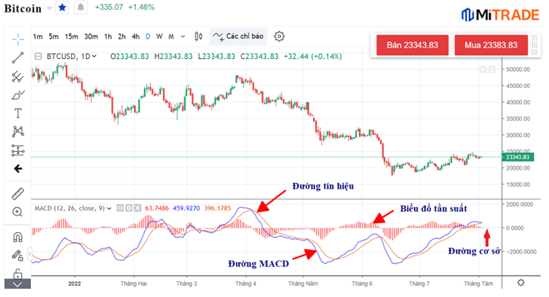 Đường MACD trong biểu đồ giá