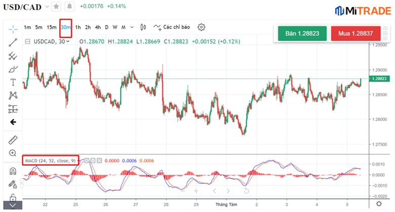 16599305684712 16599305684712