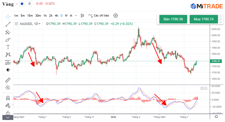 16599307365441 16599307365441