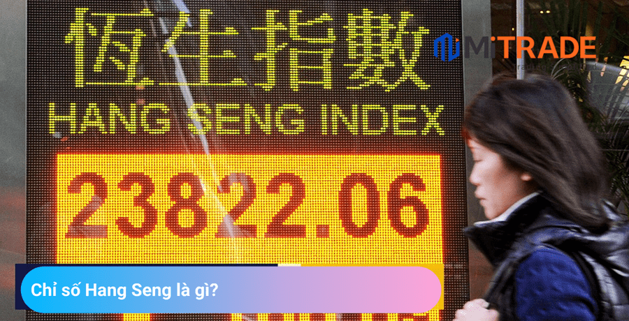 16624430058556 16624430058556