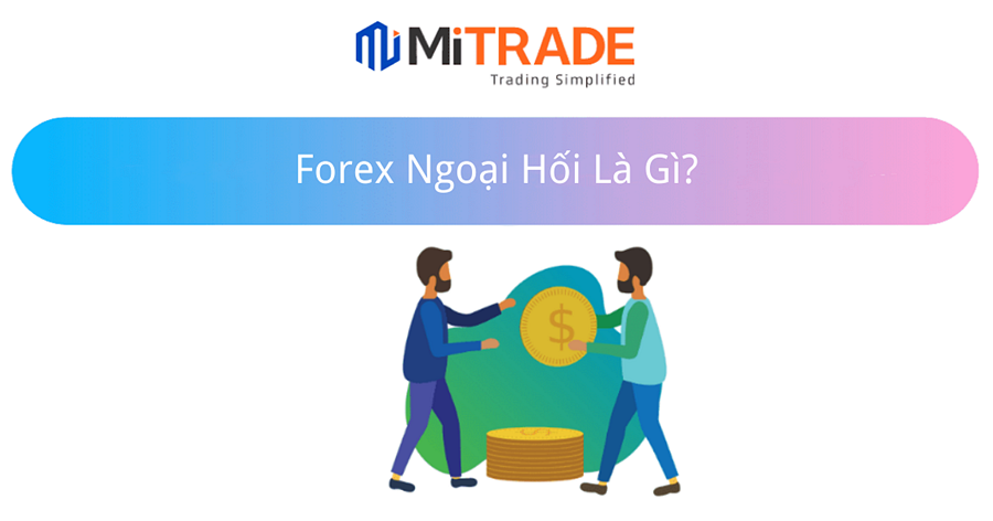 16631505725606 16631505725606