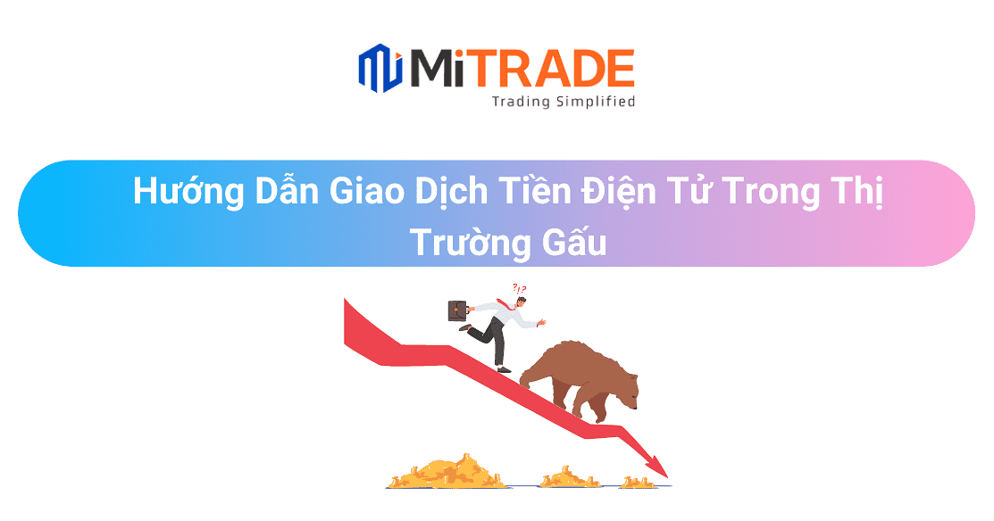 16684959836066 16684959836066