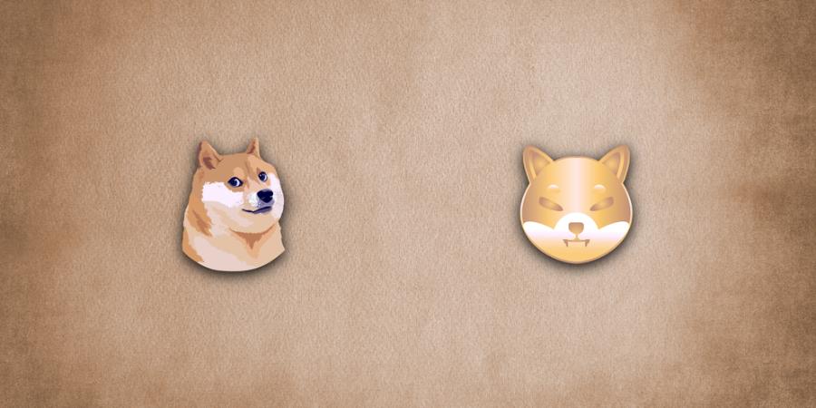 shib vs doge