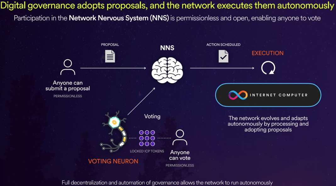 Network Nervous System 