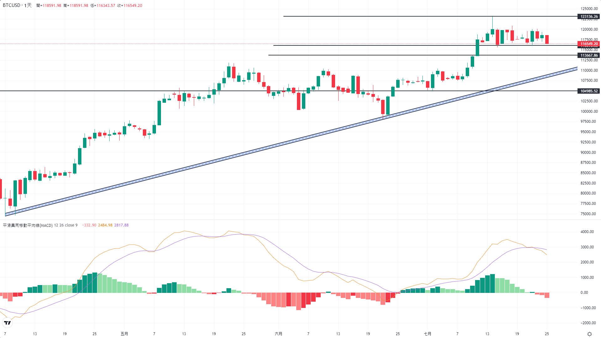 17534169516299 17534169516299