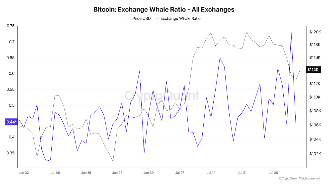 17542901127415 17542901127415