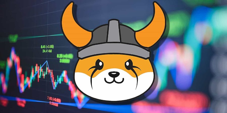 floki coin