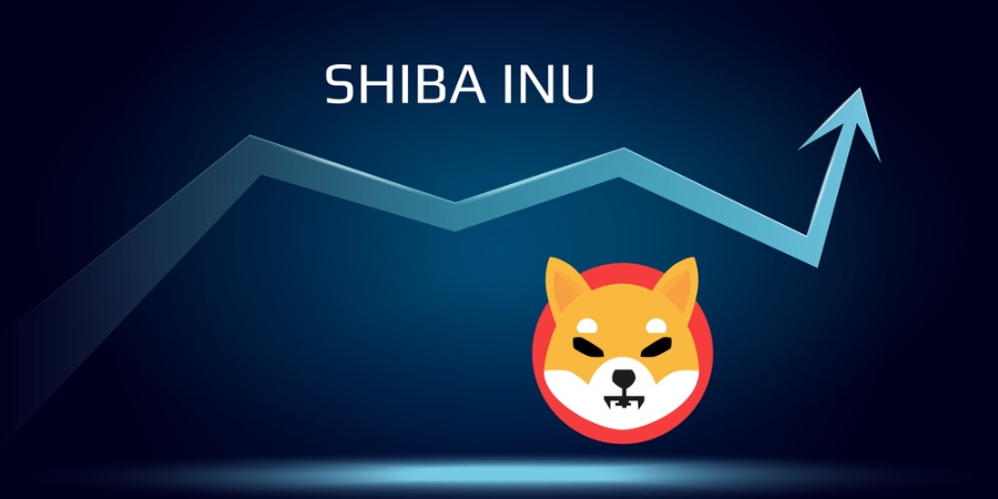 shib coin