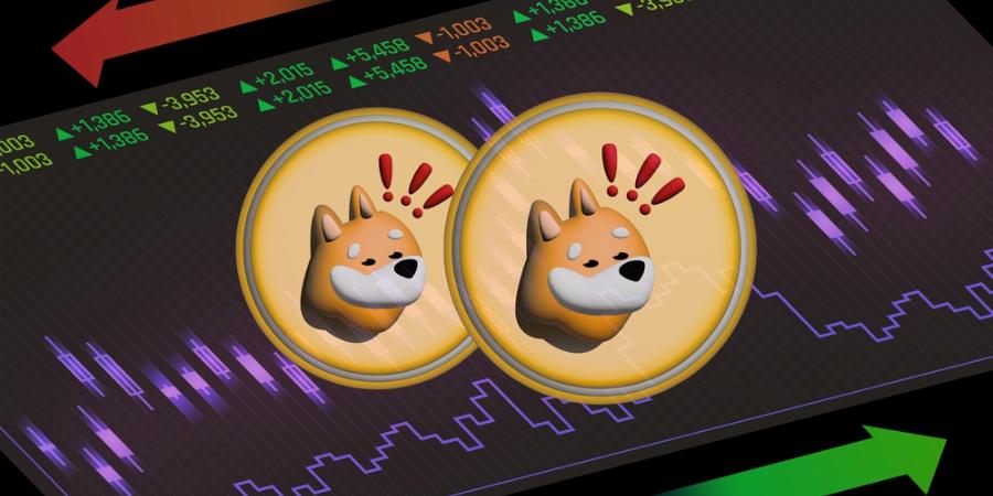 bonk coin