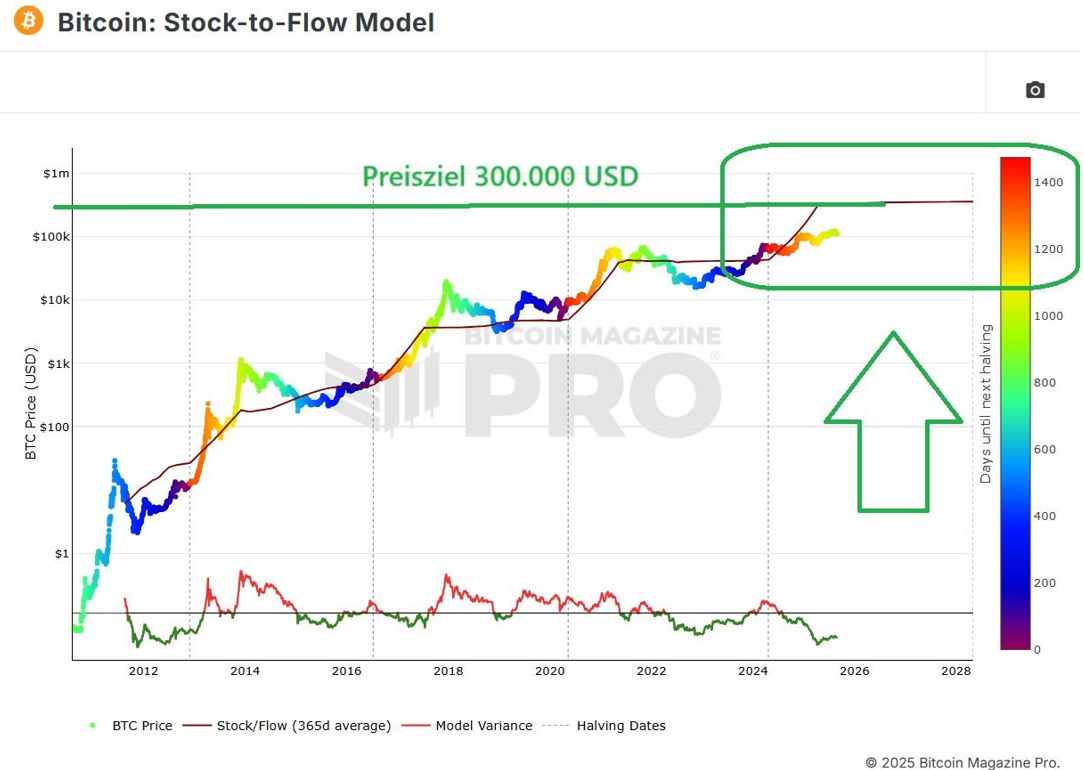 bitcoin stock to flow model