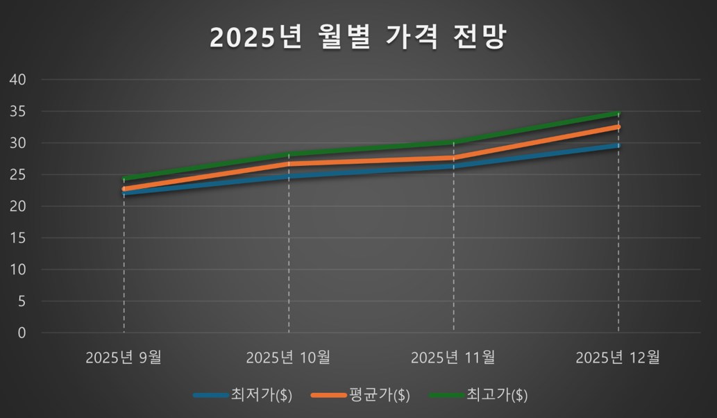 2025년 가격 전망