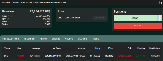 17610974571156