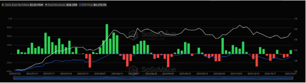 17617036894544 17617036894544