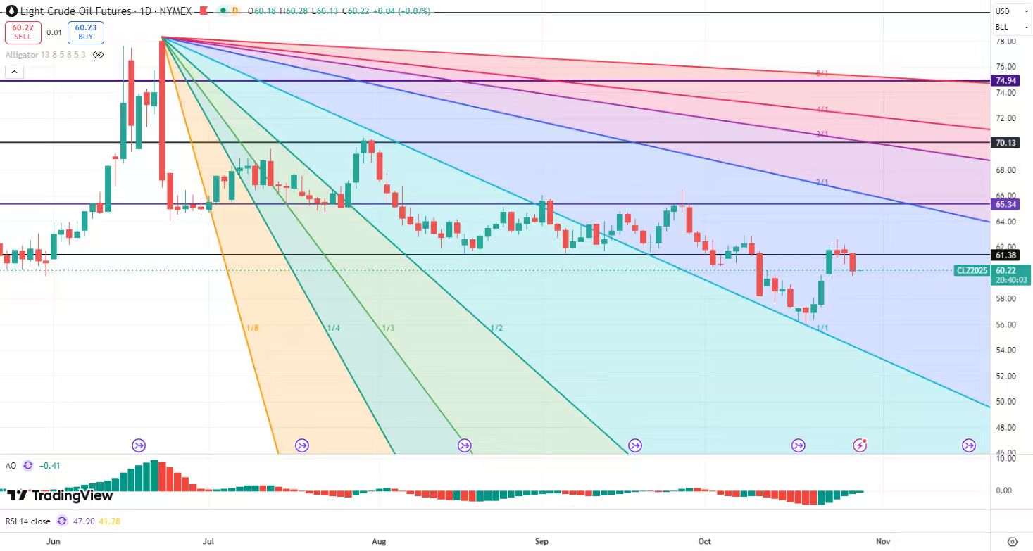 17617059779219 17617059779219