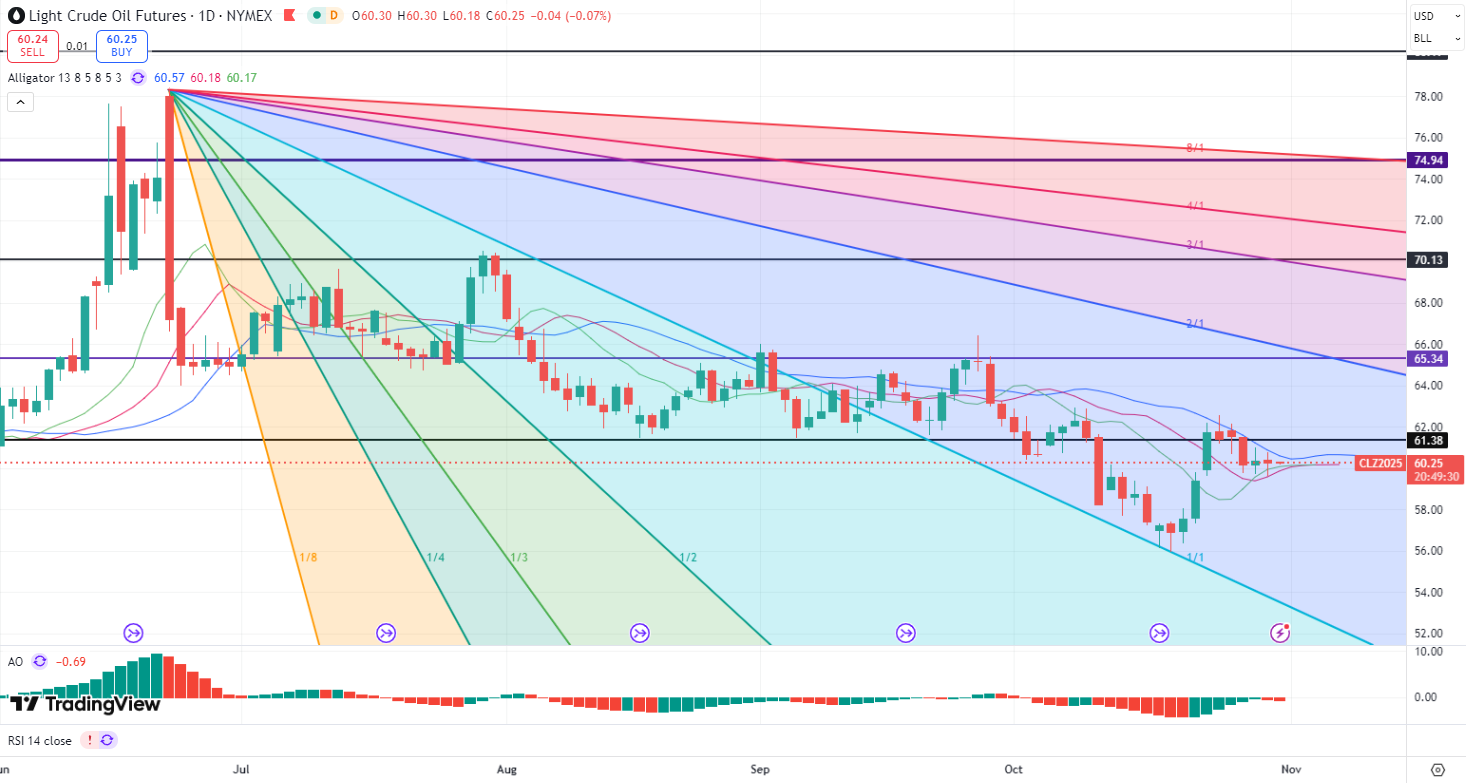 17618716186697 17618716186697