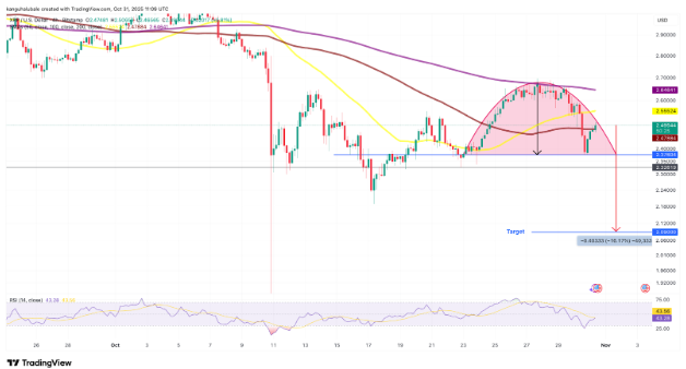 17621353144206 17621353144206