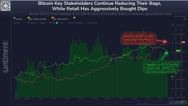 17623066294500 17623066294500