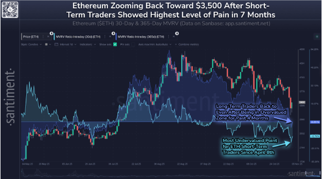 17624818424355 17624818424355