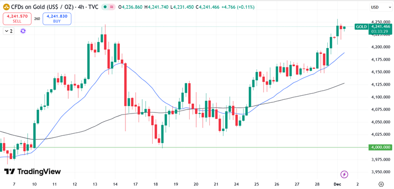 17645782888458 17645782888458