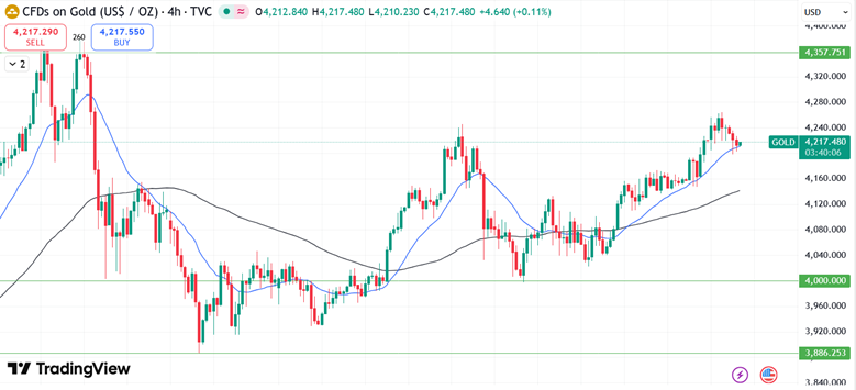 17646622912231 17646622912231