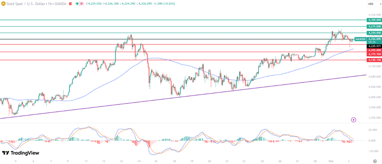 17646624064052 17646624064052