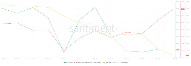 17655054425588 17655054425588