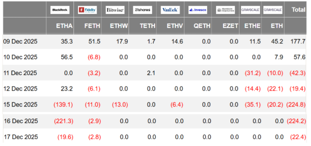 1766113055394 1766113055394